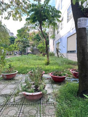 siêu phẩm, bán đất thủ dầu một, mặt tiền đường 7m, ngang 5m dài 24m, giá đầu tư