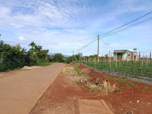 đất đẹp vị trí tiềm năng dân cư hiện hữu phúc thọ 1, tân hà, lâm hà, lâm đồng