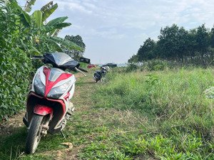 mảnh đất trồng cây cách tt hà nội hơn 40km-gần đường lớn-xung quanh nhiều villa-homestay nghỉ dưỡng