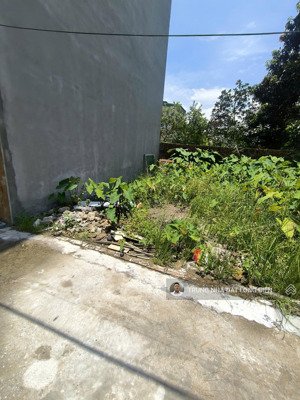 hàng hiếm vừa miếng nhỉnh 3 tỷ bát khối đông dư sát ô tô tránh mua đầu tư hoặc ở quá đỉnh