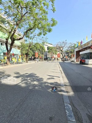 hoàng đạo thành ô tô tránh gần trường, gần phố