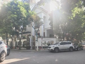 lô góc cực hiếm kđt mỹ đình 2, biệt thự sân vườn, kề phố lớn, sang trọng, ở & kd, quận nam từ liêm