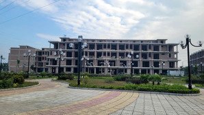 kiến thức dẫn lối, trải nghiệm xác nhận, kinh nghiệm chọn hồng an happy house