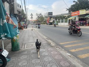 đất mặt tiền kinh doanh sầm uất đường cách mạng tháng 8 lái thiêu thuận an bình dương(tphcm)