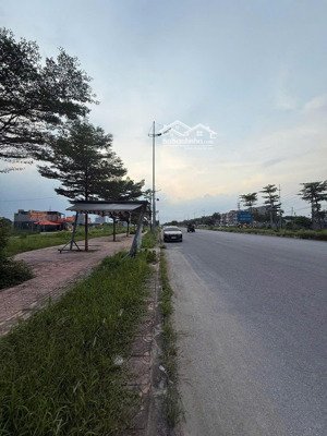 bán đất dịch vụ an thượng an khánh | 55m 9.95 tỷ | mặt đường kinh doanh đỉnh