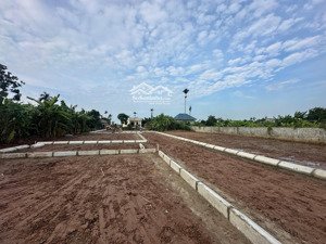 bán đất 304, quang hưng, an lão, hải phòng, 665 triệu, 82 m2