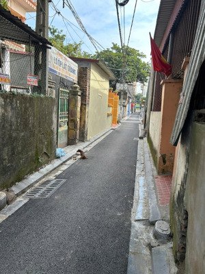 bán đất 115m2 chính chủ tại du nội, mai lâm, đông anh. khu dân cư, trường học, mua bán tiện lợi.