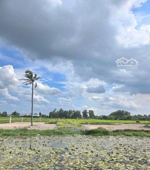 chủ gửi bán miếng đất 3000m2 xã phú hữu, nhơn trạch giá rẻ nhất khu vực