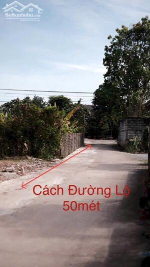 Em còn cặp đất 14x14m cho anh chị xây biệt thự mini, nhà vườn,…