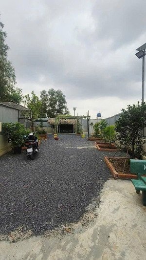 chính chủ bán vườn cây ăn trái nghỉ dưỡng thới tam thôn, hóc môn