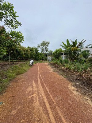 bán đất ngọc định, định quán, đồng nai, 5,5 tỷ, 35000 m2 (3ha5) đất bằng đẹp sổ hồng đầy đủ