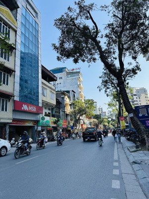 bán đất phố lạc trung- q. hbt phân lô - kd văn phòng - 132m2 - mt 8.7m - 56.9 tỷ tl- lh 