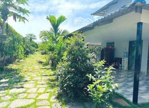 bán đất tại xã minh hưng, chơn thành, giá tốt 180 triệu, 1123.8m2