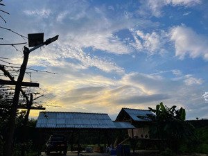 cần bán 6,5 hecta cao su +cây ăn quả (đang thu hoạch) vị trí: bình sơn,xã sông hinh,huyện sô