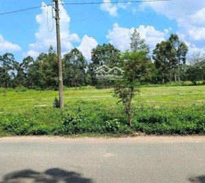 bán đất tại định hiệp, dầu tiếng, bình dương, giá 3,85 tỷ, diện tích 239,5 m2