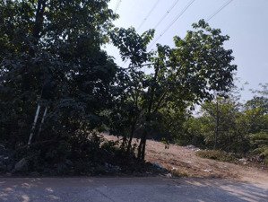 bán đất tại đình tràng, dục tú, đông anh, hà nội, 11.527m2 giá hot!