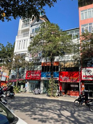 bán nhà mặt phố thanh nhàn, hai bà trưng siêu vip, hai mặt tiền, vỉa hè rộng, 48m2, giá 33.35 tỷ