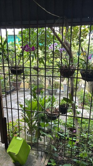 bán nhà 100m2 ở long biên đang cho thuê 10tr/ tháng