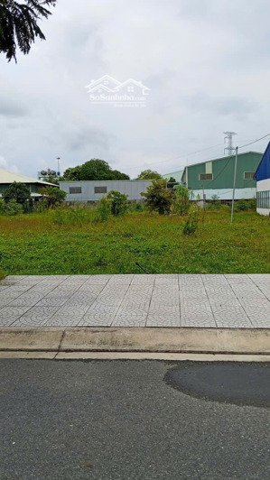 đất bình chánh, nguyễn hữu trí giá tốt mua là xây nhà ở ngay