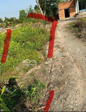 bán đất vừa rẻ vừa đẹp tại xã hựu thạnh, 5500 triệu, 120m2, sổ hồng riêng, full thổ cư