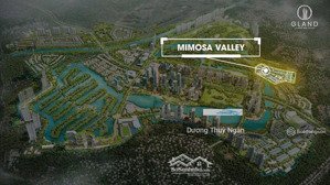 bán biệt thự lõi mimosa trung tâm ecopark (thô)hơn 200m² mặt tiền rộng, nhà thoáng 4x tỷ bao phí