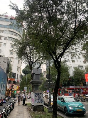 lô đất đẹp xây khách sạn mặt tiền cao bá quát quận 1, dt 420m2 ngang 22m, shr 1 sổ, chỉ 240 tỷ