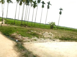 chào bán 127m2 đất view đồng . ngay trung tâm xã hoà khương. đầy đủ tiện ích . đường ô tô thông