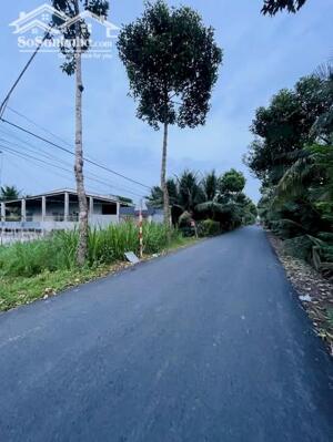 Đất mặt tiền Trần Thị Thơm, Tân Mỹ Chánh, Tp Mỹ Tho, Tiền Giang