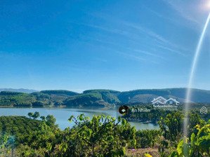 chỉ 850 triệu/sào sở hữu ngay 1.250m² đất vườn nghỉ dưỡng tại định quán, đồng nai