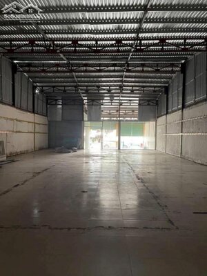 Cho thuê mặt bằng ngang 8m mặt tiền Hoàng Quốc Việt (Phường An Bình TP Cần Thơ)