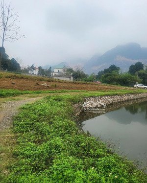 cần chuyển nhượng 4631m2 đất thổ cư tại lương sơn hòa binh