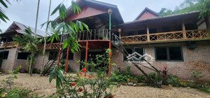 cần chuyển nhượng 3 ha khu nghỉ dưỡng sinh thái tại mãn đức, tân lạc, hòa bình