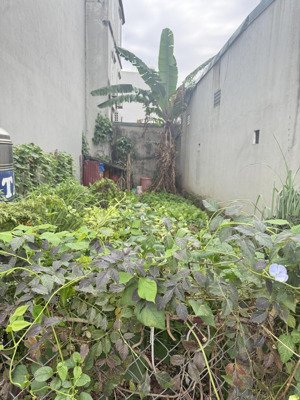 bán đất hải bối - đông anh 49m nở hậu, 2 mặt tiền gần tp thông minh giá 5,15 tỷ