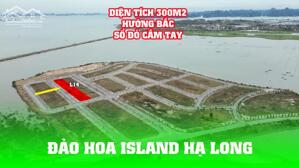 Chính chủ gửi bán ô đất biệt thự Đảo Hoa Island Hạ Long, 300m2, sổ đỏ, giá 57 triệu/m2