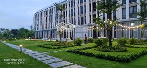 central diamond era square lô góc hiếm được chào bán