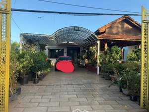 bán nr đường 55, bưng riềng, xuyên mộc, bà rịa vũng tàu, 6 tỷ, 966m2