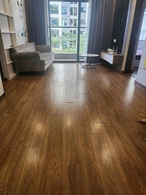 cho thuê căn hộ 2 ngủ tại chung cư the zei full đồ mới tinh ở ngay, diện tích 74m2