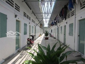 bán đất 124m2 tặng dãy trọ 7 phòng tam bình