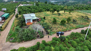 chính chủ bán lô đất view săn mây, tân hà, lâm hà, ngang 12m, 232m2, đường betong 5m, giá 650tr