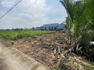 Bán đất Long Trạch gần chợ – trường – UBND, vị trí đẹp