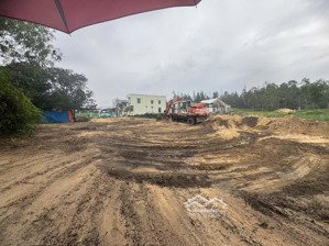 chính chủ cần bán 625m2 đất cây lâu năm chờ đợi chuyển lên thổ cư lh 