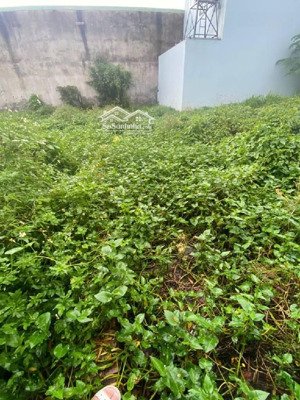 đất thổ cư - hẻm xe hơi hà huy giáp, gần cầu vượt ngã tư ga, q12 - 62m2 - 4 tỷ