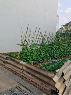 đất nên tiên dương đẹp , 47m2 ngõ thông ô tô, vài bước ra trục chính, giá 3 tỷ.