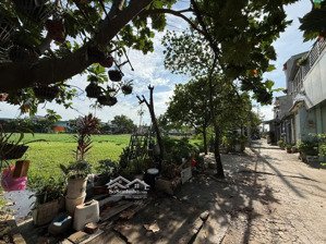 bán 11000 m2 đất ấp doi, phường 15, gò vấp, 40 triệu/m2 có 200m2 thổ cư