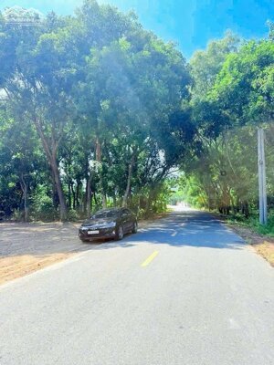 ️ ĐẤT VIEW NÚI MINH ĐẠM - GẦN BIỂN - CHỈ 1.4 TỶ!