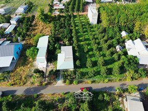 487m2 (10x48m có 100m2 thổ cư) đất tp. hcm cách chợ 200m giá chỉ nhỉnh 2 tr/m2