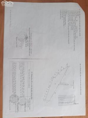 Biệt thự nhà vườn mini P7-Long An