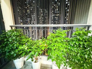 chính chủ cho thuê cc tòa a nguyễn cơ thạch,,dt 128m,3pn, 2 vs full đồ vào luôn, lh 