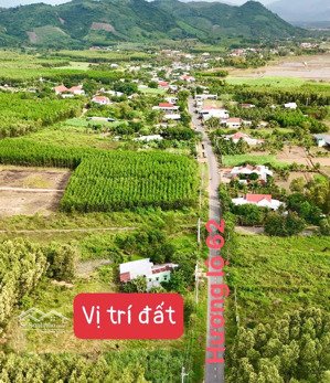 giá siêu rẻ - cho 2 lô mặt tiền hl62 diên tân. diện tích: 293m2 mỗi lô 100m2 ont chỉ 690tr bao sổ