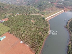 2,5ha hơn 200m mặt tiền, 140m mặt nước, giáp hồ, giá chỉ 360tr/sào thương lượng